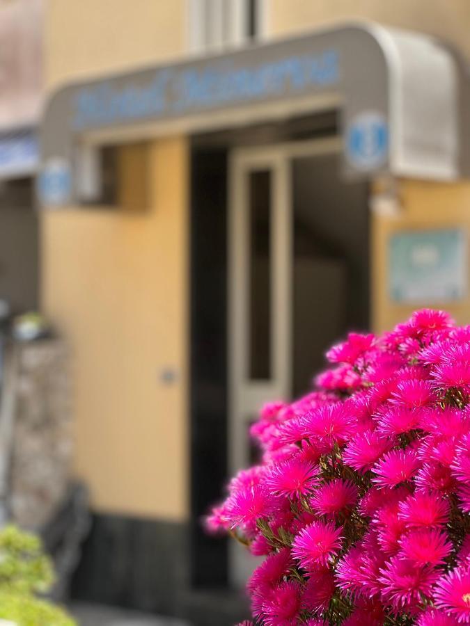 Hotel Minerva 3*